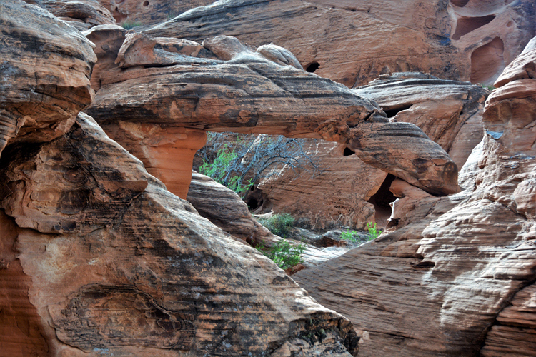 arched rock